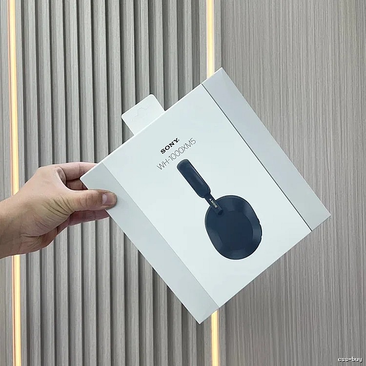 Sony WH-1000XM5 Wireless Headphones in Black