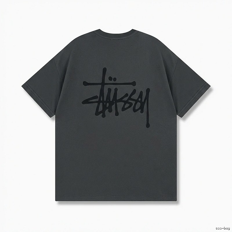 Stussy basic street style gray T-shirt